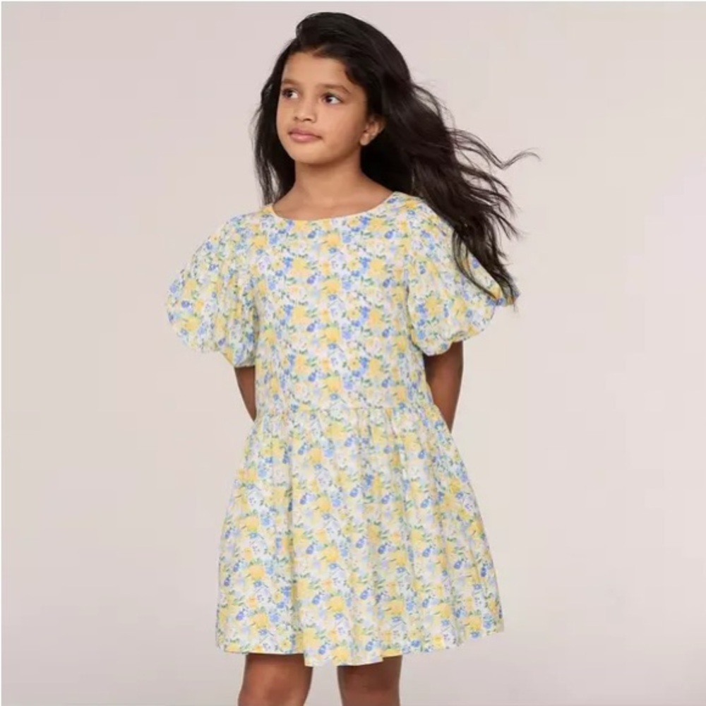 Janie & Jack The Fleur O’Clock Dress 2T